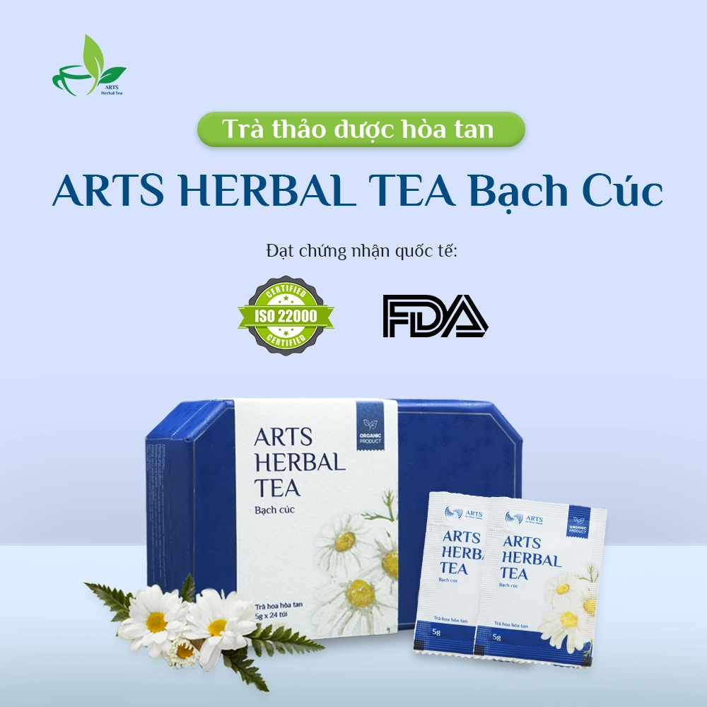ARTS HERBAL TEA Hoa Bạch Cúc